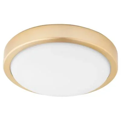 LED Light Kit3701650