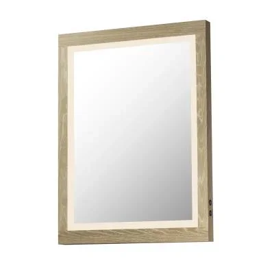 LED Mirror6707437