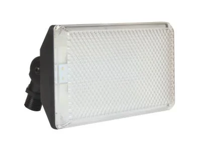 LED Outdoor Flood448611