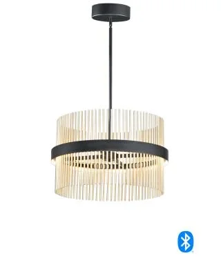 LED Pendant2428678