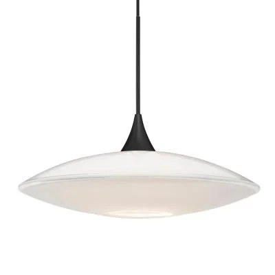 LED Pendant3203126