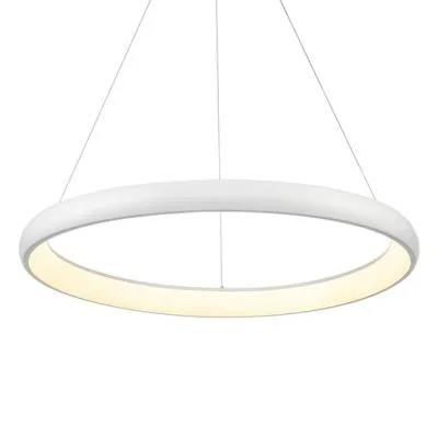 LED Pendant415040