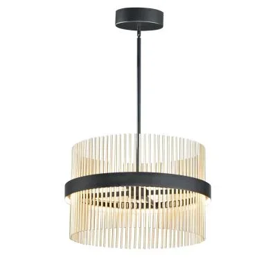 LED Pendant4898227