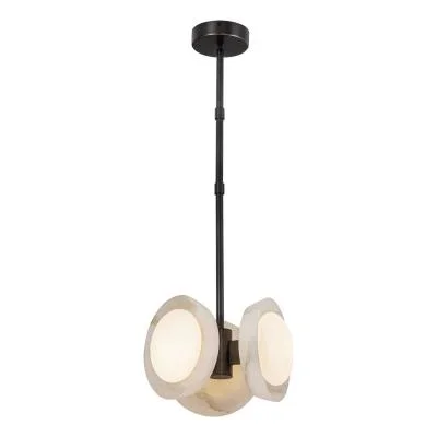 LED Pendant8608579