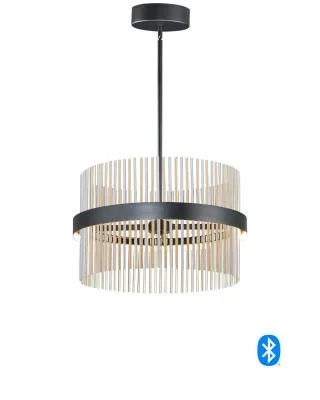 LED Pendant8984649