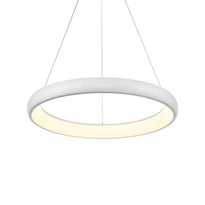LED Pendant906298