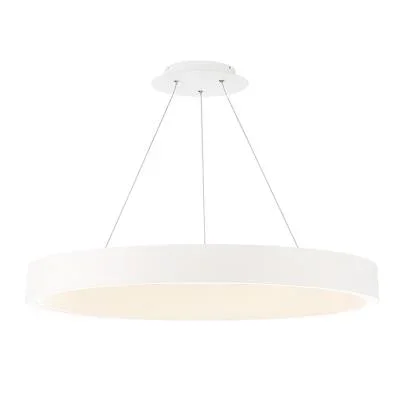 LED Pendant930536