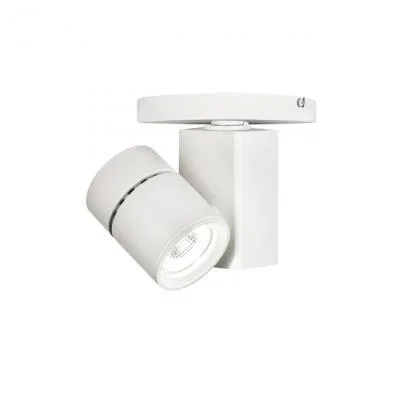 LED Spot Light129803