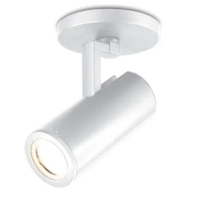 LED Spot Light4024986