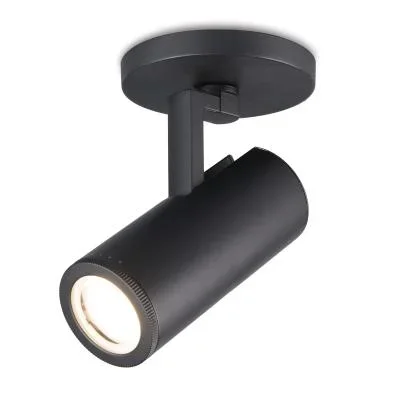 LED Spot Light481242