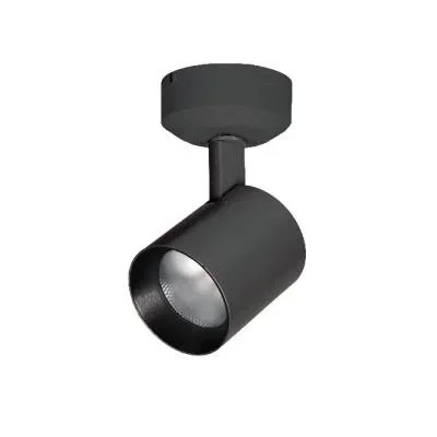 LED Spot Light481649