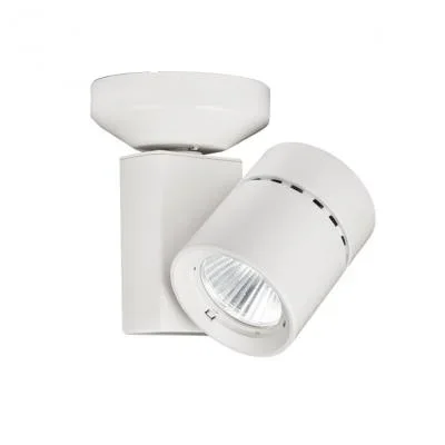 LED Spot Light932686