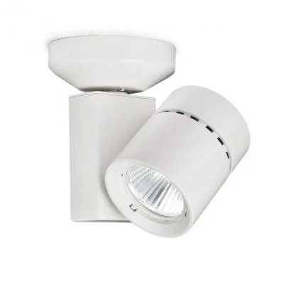 LED Spot Light932918