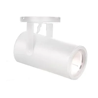 LED Spot Light965280