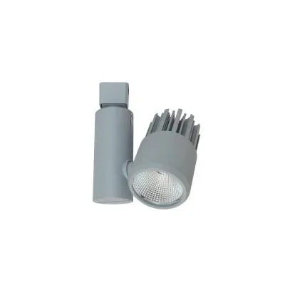 LED Track Head2577323