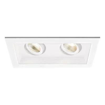 LED Two Light New Construction Housing with Trim and Light Engine493446