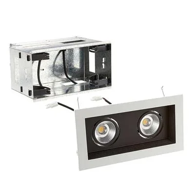 LED Two Light Remodel Housing with Trim and Light Engine207222