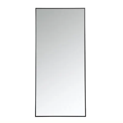 Mirror4422871