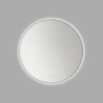 Mirror4542589