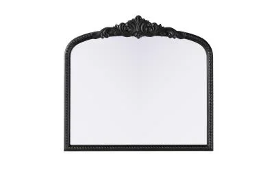 Mirror4560450
