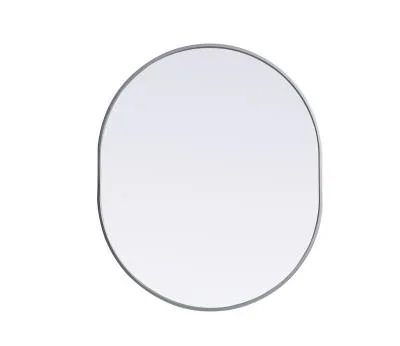 Mirror4698683