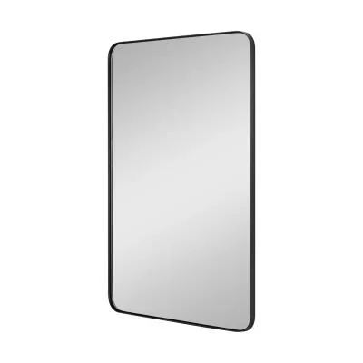 Mirror4826691