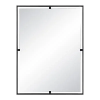 Mirror4942420