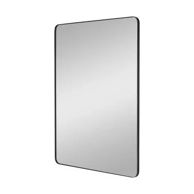 Mirror6115199