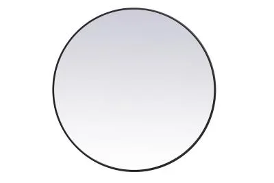 Mirror6699702