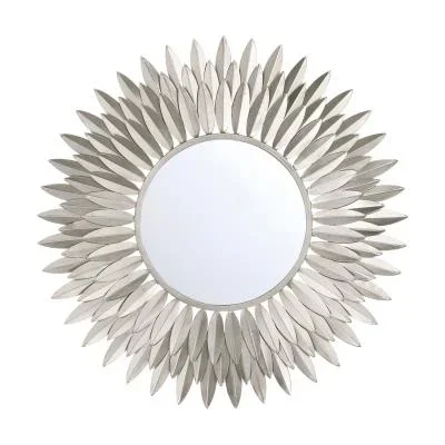 Mirror6703911