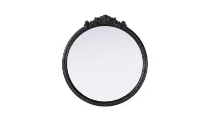 Mirror6720683