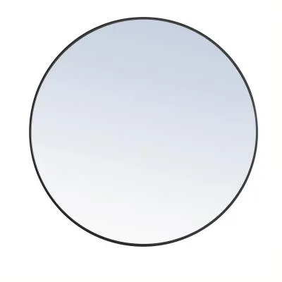 Mirror787901