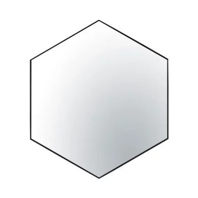 Mirror8938510