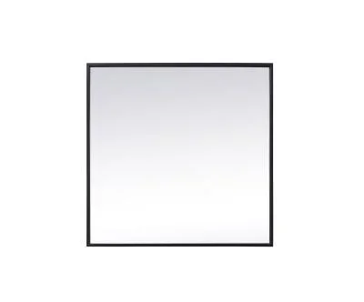 Mirror8971336