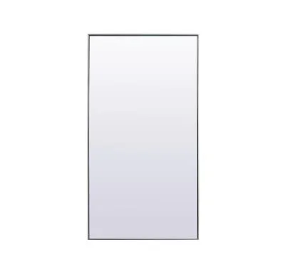 Mirror8971393