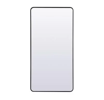 Mirror8971396