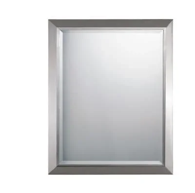 Mirror933366