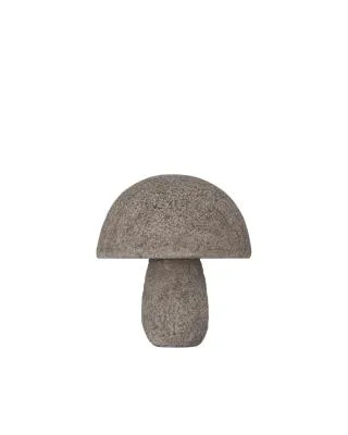 Mushroom9884102