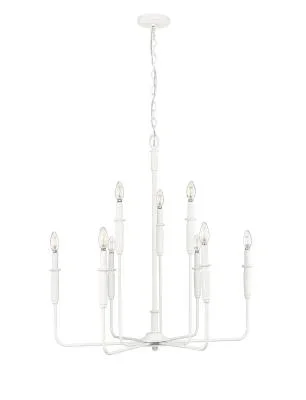 Nine Light Chandelier2593629