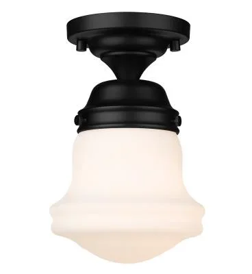 One Light Flush Mount9689146