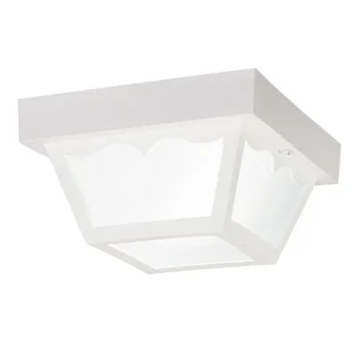 One Light Outdoor Ceiling Mount617296