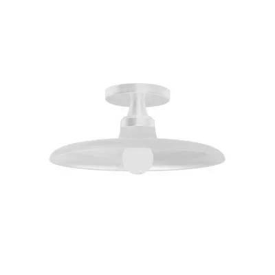 One Light Semi-Flush Mount2350264