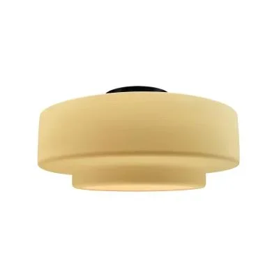 One Light Semi-Flush Mount2941027