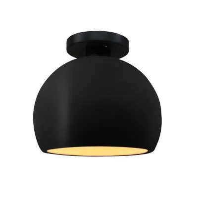 One Light Semi-Flush Mount4201683