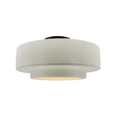 One Light Semi-Flush Mount4207475
