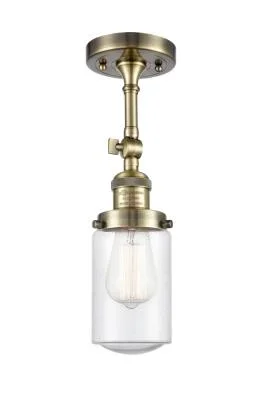 One Light Semi-Flush Mount4229878