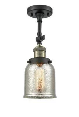 One Light Semi-Flush Mount4243956
