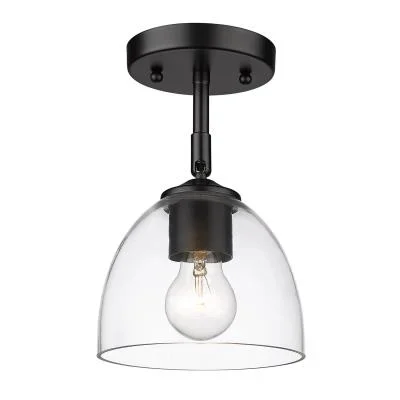 One Light Semi-Flush Mount6317818