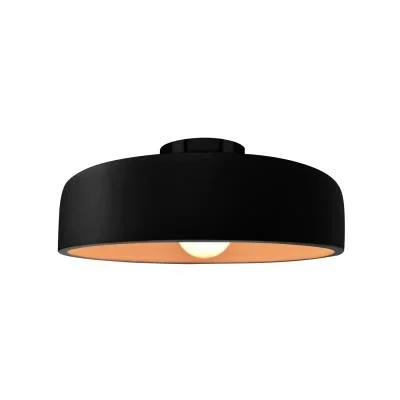 One Light Semi-Flush Mount6748497