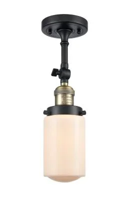 One Light Semi-Flush Mount6963811